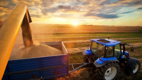 Украина планирует резко сократить посевы зерновых